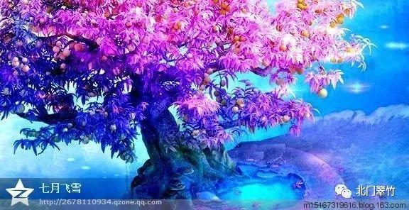 救援小孔雀